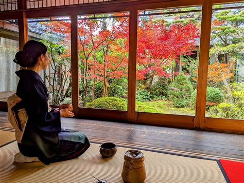 Kyoto tea ceremony guide