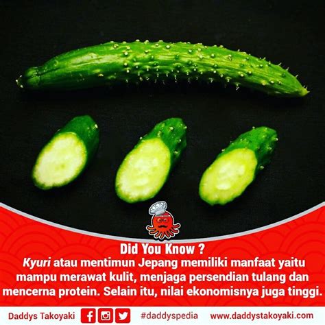 Kyuri: Manfaat & Cara Tanam Timun Jepang
