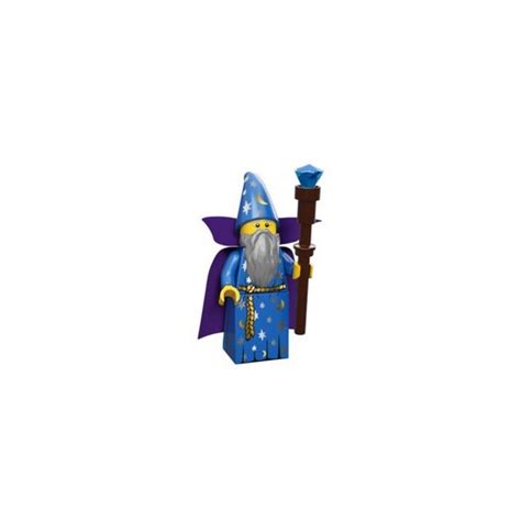 LEGO Land information technology wizard