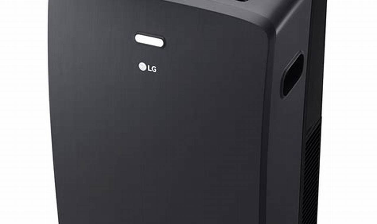 LG Standard Portable Air Conditioner.