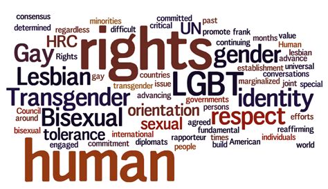 LGBTQ+ Terms: Definitions & Understanding 