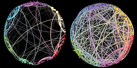 LSD Connections in Brain