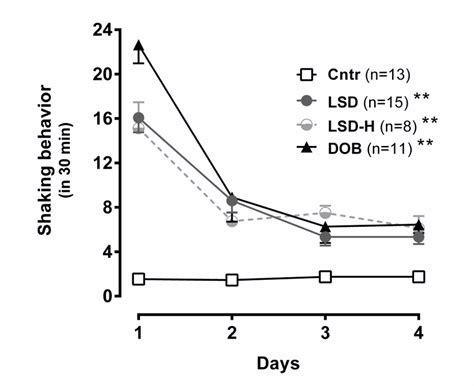 LSD Tolerance Factors Image