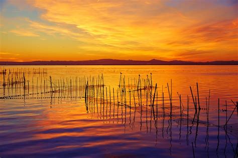 La Albufera Lake