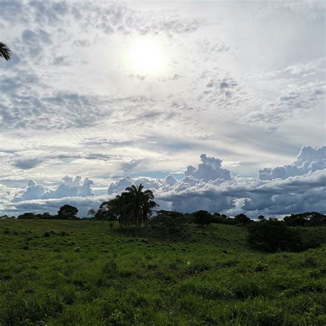 La Chorrera Landscapes