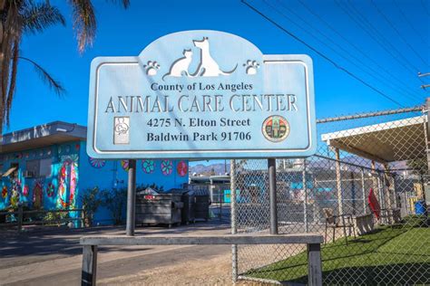 La County Animal Control