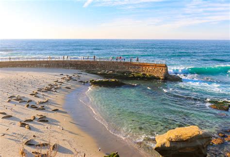 La Jolla Things To Do