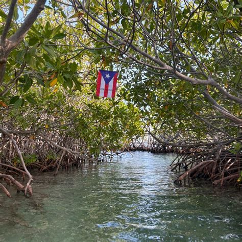 La Parguera Comparison