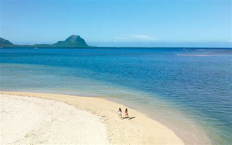 La Preneuse Dolphin Swimming & Snorkeling Speedboat Adventure: My Personal Review