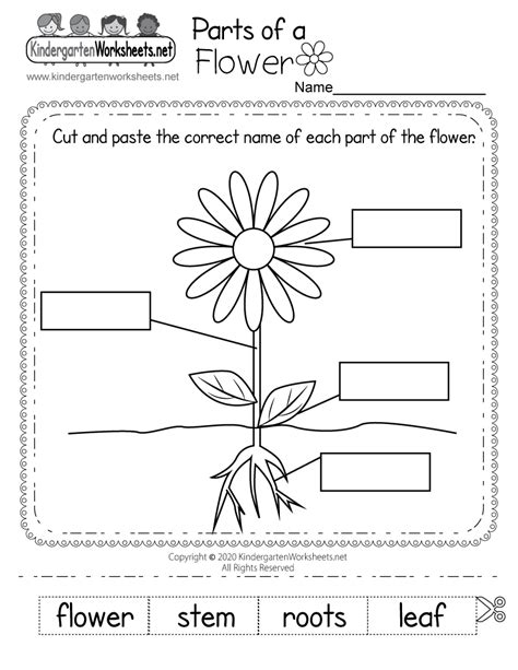 Label A Flower Worksheet