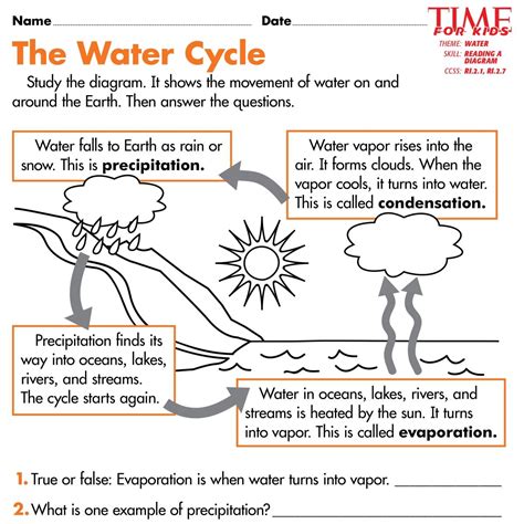 Labeling The Water Cycle Worksheet Answers