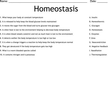 Labeling Homeostasis Systems Worksheet Answers