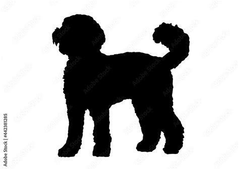 Download Labradoodle Dog For Silhouette