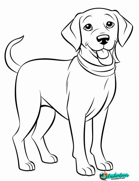 Labrador Ausmalbild