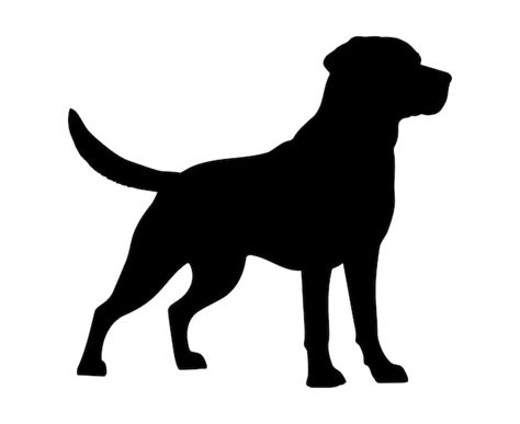 Download Labrador Retriever Dog For Silhouette