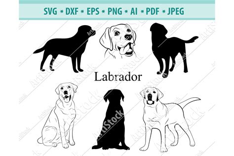 Download Labrador SVG Cut Files, Labrador Bundle Commercial Use DXF Files