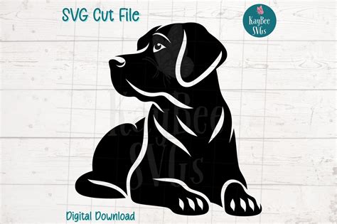 Download Labrador SVG Cut Files, Labrador Bundle Commercial Use Free PSD Mockups