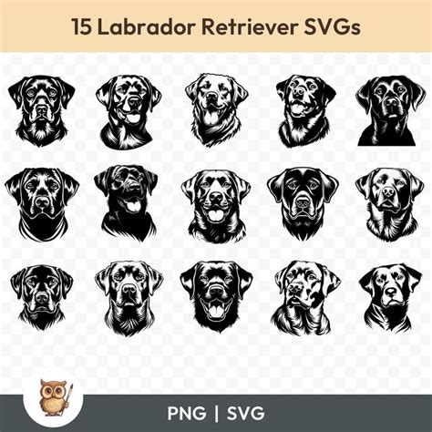 Download Labrador SVG Cut Files, Labrador Bundle Cricut SVG DXF Files