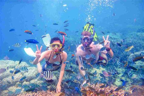 Labuan Bajo Diving FAQ