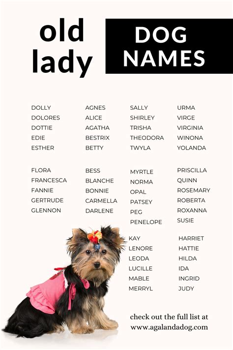 Lady Dog Names