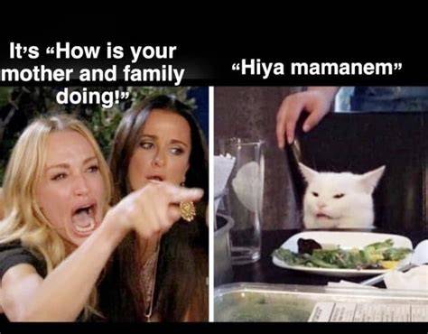 Lady Screaming At Cat Hunting Meme
