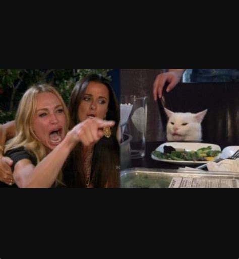 Lady Screaming At Cat Meme Gif