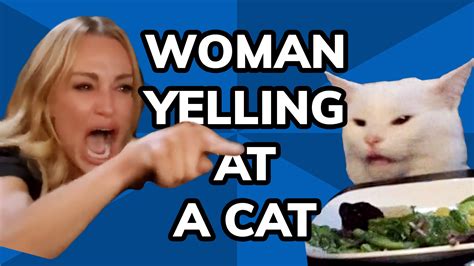 Lady Screaming At Cat Meme History