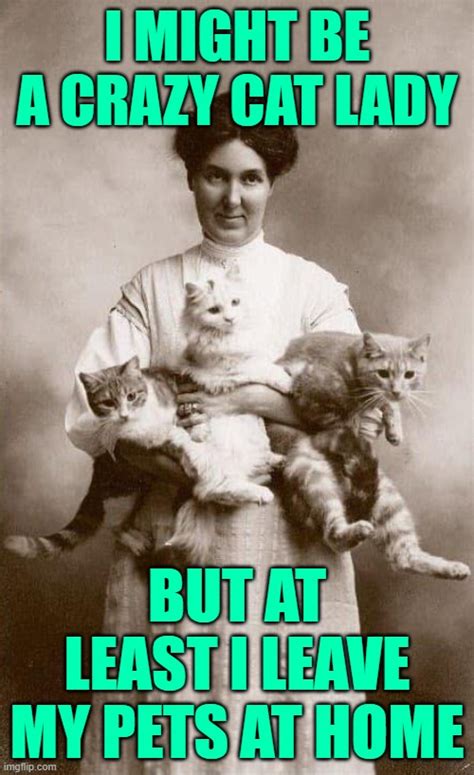 Lady V Cat Meme