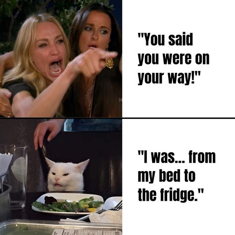 Lady Yelling At Cat Meme Cajun