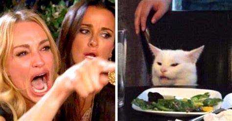 Lady Yelling At Cat Meme Dog