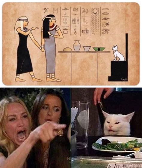 Lady Yelling At Cat Meme Egypt