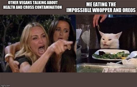 Lady Yelling At Cat Meme Imgflip