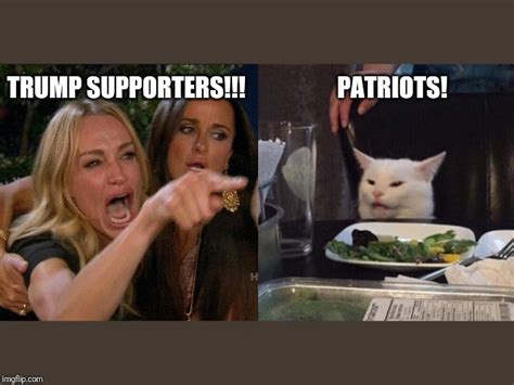 Lady Yelling At Cat Meme Patriots