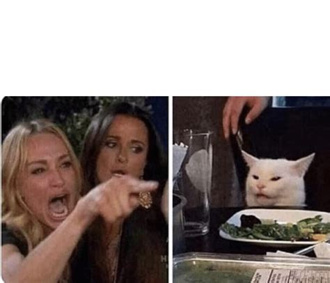 Lady Yelling At Cat Meme Political