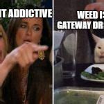Lady Yelling At Cat Meme Weed