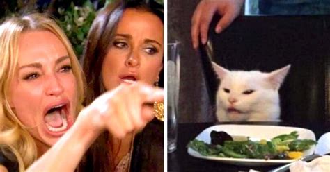 Lady Yelling At Cat Meme With Dog