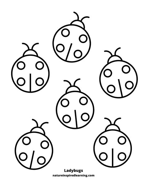 Ladybird Coloring Pages