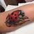 Ladybug Tattoo Design