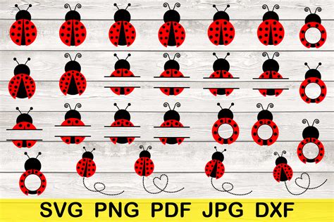 Download Ladybug Design Bundle Files For Crafts