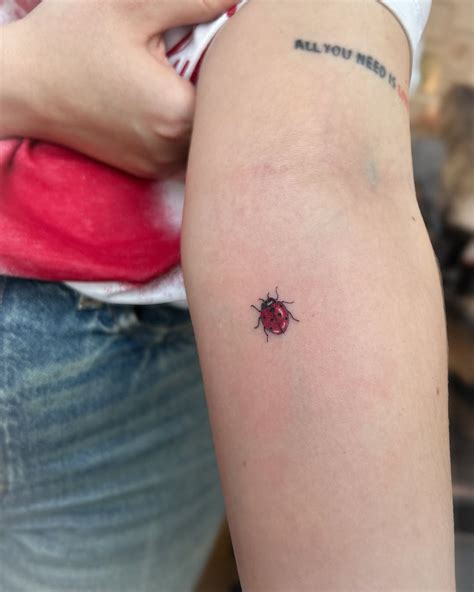 Ladybug Tattoo Small