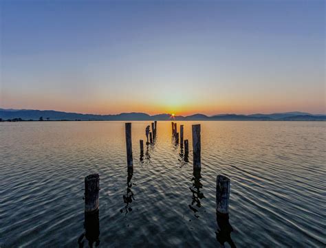 Lago Di Massaciuccoli landscape