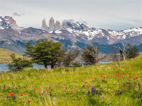 Laguna Azul View
