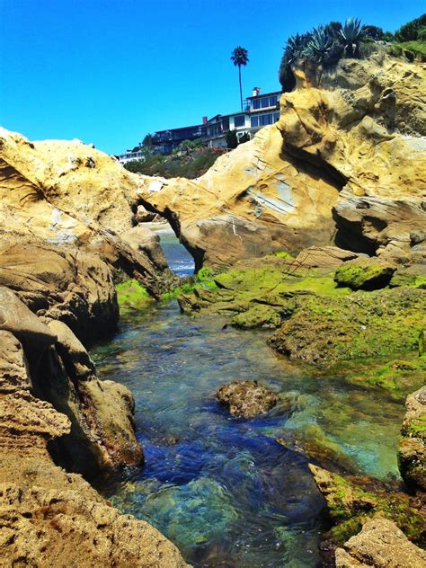 Laguna Beach California Tide Pools