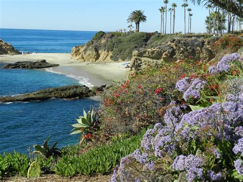 Laguna Beach California Weather In November