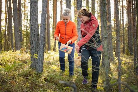 Lahti foraging tour