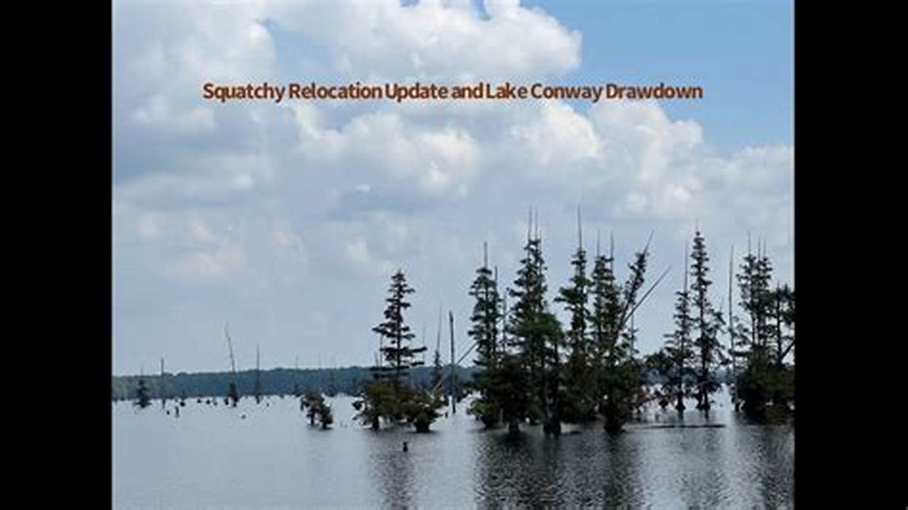 Lake Conway Drawdown 2024