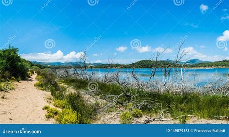 Lake Baratz Landscape