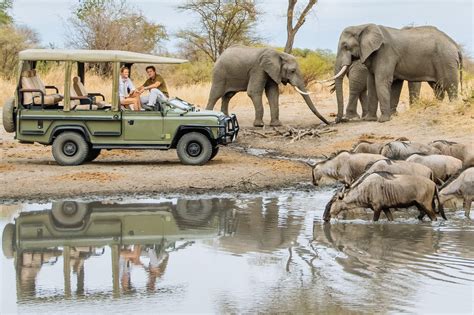 Lake Manyara Game Drive