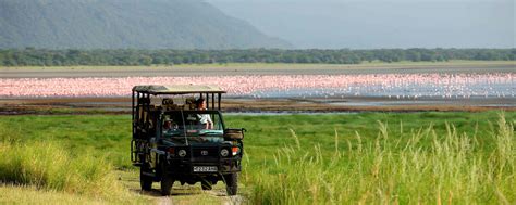 Lake Manyara Safari