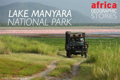 Lake Manyara Tips